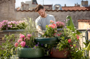 Bli expert på pelargoner