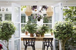 Pelargoner i uterummet